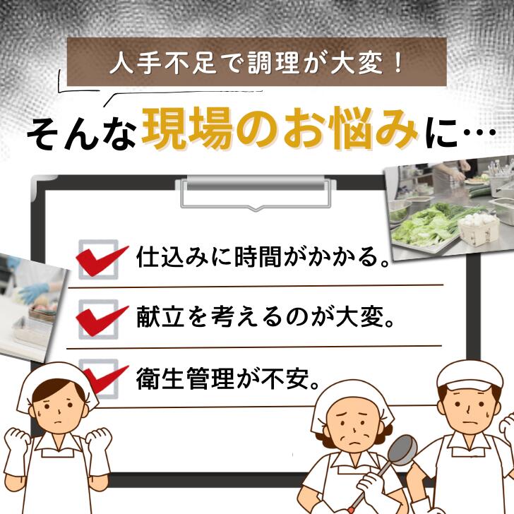 【送料無料】楽チン！冷凍おかず 豆腐ハンバーグ 24食セットお弁当 お惣菜 レンチン 温めるだけ おかずのみ 豆腐ハンバーグ ハンバーグ 冷凍惣菜 宅配弁当 まかない 給食 社員食堂 寮 人手不足 電子レンジ お手軽 簡単 便利 高齢者 施設 たんぱく質 時短 大量調理 3