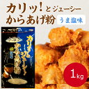 奥本製粉 カリッとジューシー唐揚粉水溶きタイプ(旨塩味)1kg調味料 からあげ粉 唐揚げ カラアゲ パウダー 粉末 水溶き スパイス ジューシー ボリューム 旨しお 塩味 竜田あげ 鶏肉 チキン さかな 魚 簡単調理 手軽 業務用 家庭用 大容量 お買い得