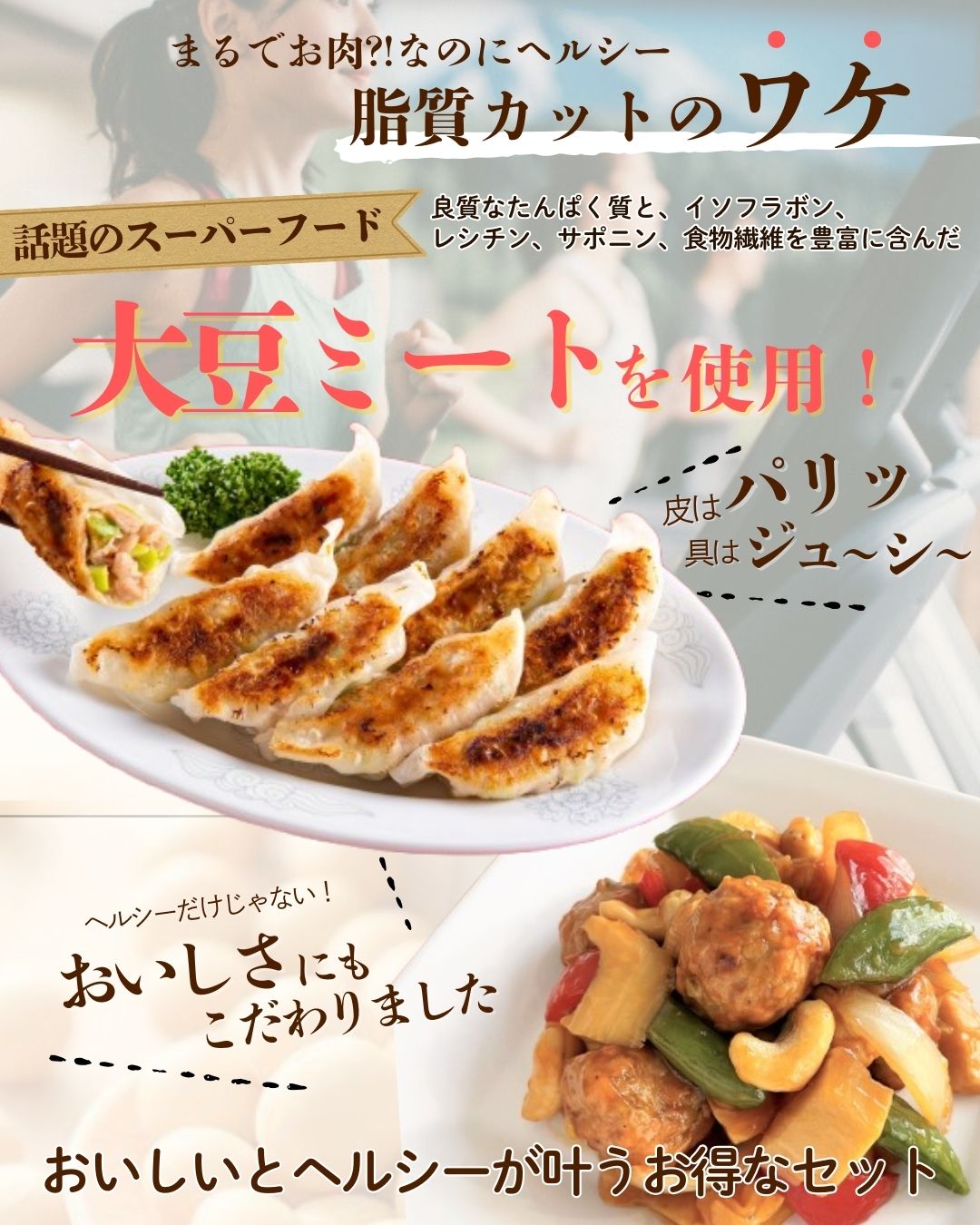 大豆ミートのヘルシーお惣菜セット（プロテイン餃子+ミートボール） 動物性素材不...