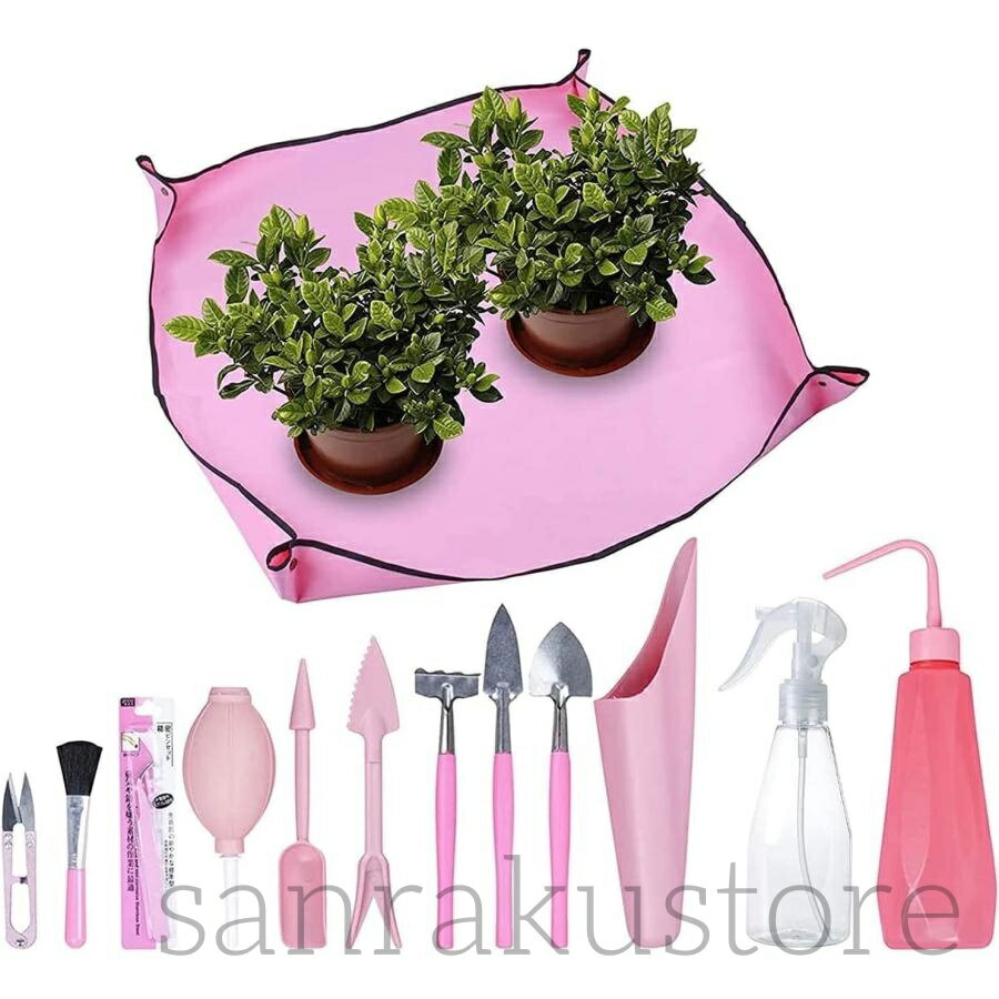 ڥȥ㤨̵ ݥ 13å ǥ˥󥰥ġ ݥġ ݥå å ٥ ߺ տʪ ¿ʪ ݺ ġ ܿ ȭ ߥ˱ݹ ¤ ڤ 鿴 ڱ ݽ ޤꤿ߼ ѥȼǼפβǤʤ3,552ߤˤʤޤ