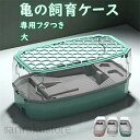 【送料無料・期間限定】 飼育ケース タートルタンク 大きい カメの水槽 水陸両用スペース カメの飼育ケース 日向ぼっこ台 エサ皿 脱出防止フェンス 蓋つき クリ...