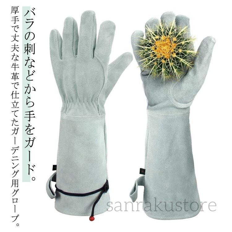 ̵ѥ 󥰥ȥб Ĺµ ХѼ Ȥɻ ѥǥ˥󥰥 Ѽ  ʪѼ Ż  ...