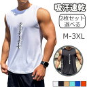 トレーニングウェア 2枚組 タンクトップ メンズ Tシャツ スポーツウェア フィットネス ボディビル 筋トレ スポーツインナー 吸汗速乾 ランニングウエア 袖なし ゆったり 速乾 吸汗 運動 肌着 無地 ベスト 6色 M L XL 2XL 3XL