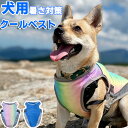 クールベスト 犬 ペット ひんやりベスト 冷感クール 対策 散歩 お出かけ 快適 犬用冷感ベスト 暑さ対策 ひんやり 夏 犬用 冷やす 帽子 クール 冷感犬服 ...