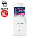 LUCIDO V[h g[^PAAN 150ml EXICNAA ׂה 40˂̂˂ƂAuONA W玉NA ΒGLXz Ђߐ Q10  F pxt[