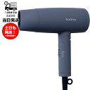 SALONIA サロニア スピーディーイオンドライヤー SL-013GR / グレー ヘアドライヤー 家電 美容家電 大風量 速乾 マイナスイオン