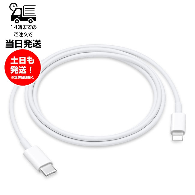 【Apple 純正】 ライトニングケーブル アップル Lightning - Type-C USB ケーブル 1m 箱 無し 1000円ポッキリ 未使用品 iPhone アイフォン iPod アイポッド AirPods Pro エアーポッズプロ