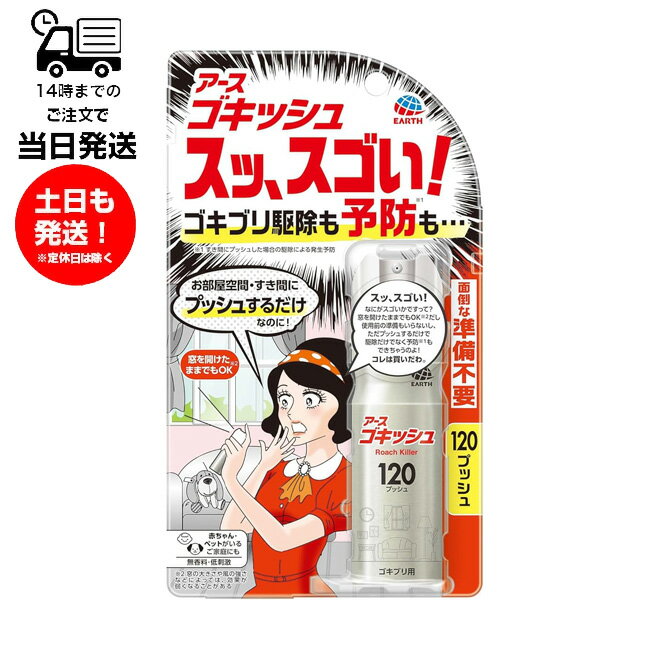 アース ゴキッシュ スッ、スゴい！ 26ml 120プッシュ 殺虫剤 アース製薬 ゴキブリ 駆除 予防 対策 無香料 低刺激