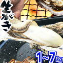 【日指定OK】GW用受注中!! 牡蠣 殻付き 1kg〜7kg 加熱用 宮城県産 (1kg 5〜8個) 三陸 かき 生がき 牡蛎 貝 魚介 2kg 3kg 4kg 5kg 6kg 7kg 産地直送 人気 BBQ 焼き