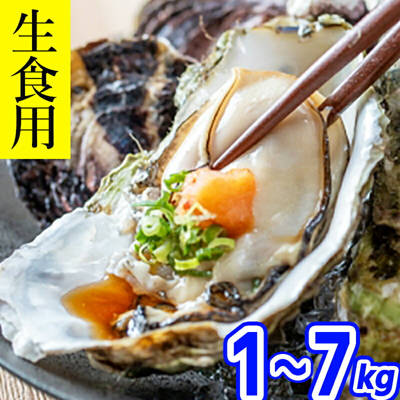  wOK y Hp kt 1`7kg OY {錧 (1kg 5`8)   y  a L  Yn lC ̓