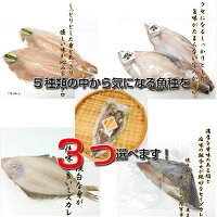お中元2020ギフト対応【送料無料】選べるかれいのセレクト詰合せ3種セレクトとっておき珍味ヒレグロ2尾ソウハチ2尾ミズカレイ2尾セイダカレイ2切ナメタカレイ2尾数量限定干物詰合せカレイ三陸産北海道産