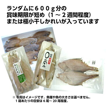 【訳あり・送料無料】賞味期限短めまたは極小干しかれい 600g一夜干し ランダム詰合せ 北海道産 三陸産 オランダ産 カレイ 三陸宮古かれい専門店 有限会社宮古マルエイ