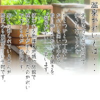 ご自宅用【送料無料】簡易包装温泉かれい(30枚入600g)北海道産カレイ味付きかれい骨抜き三陸宮古かれい専門店レンジでチンして食べられる