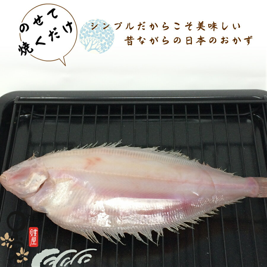 無料長期保証 北海道産 干かれい ヒレグロ 90g25入4合 5甲 25入ケース 500尾 送料込 業務用 カレイ 干物 ひもの 一夜干し 焼き魚 三陸宮古かれい専門 冷凍 新版 Jadibootiwale Com 無料長期保証 北海道産 干かれい ヒレグロ 90g25入4合 5甲 25入ケース 500尾 送料込 業務用 カレイ 干物 ひもの 一夜干し 焼き魚 三陸宮古かれい専門 冷凍 新版 Jadibootiwale Com