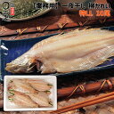業務用 一夜干しかれい ヒレグロ 柳かれい 2.7kg 北海道産 【送料無料】 275gup10尾入 干物 業務用 柳カレイ オイラン カレイ ヤマガレイ 代引...