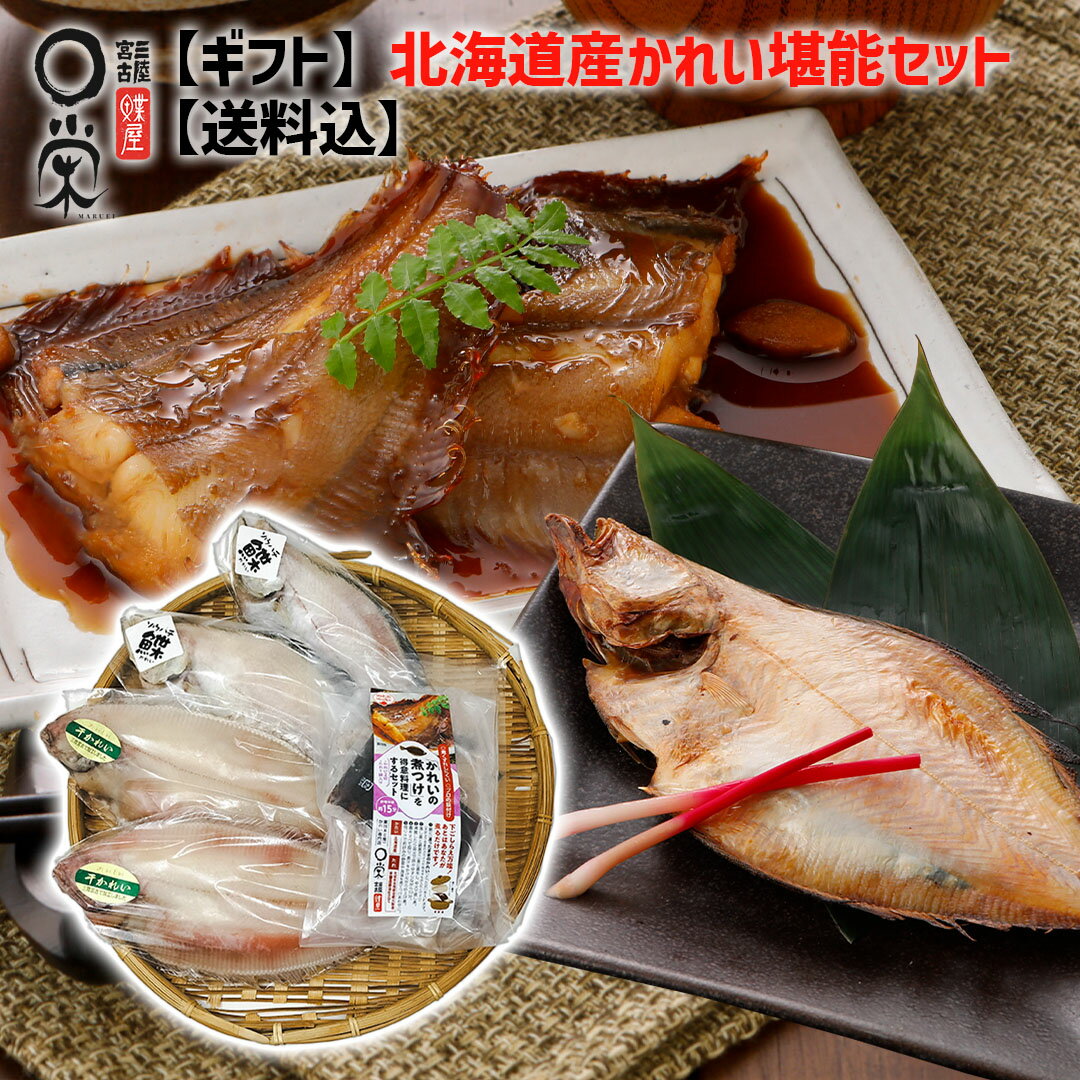 火曜 オマケ付 【ギフト】北海道産 かれい堪能セット 【送料無料】宗八 175g x2尾 ヒレグロ 175g x2尾 煮付けセット210g かれい一夜干し 白身...