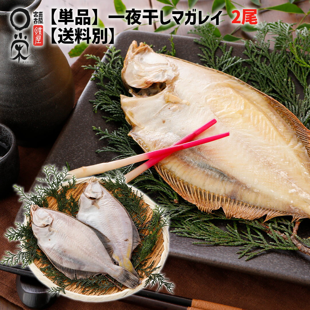 北海道産 一夜干しマガレイ 200g前後 x2尾カレイ 魚 懐かしい味 焼き魚 岩手 宮古 加工 メーカー 冷凍 惣菜 父の日干物 ギフト かれいの一夜干し