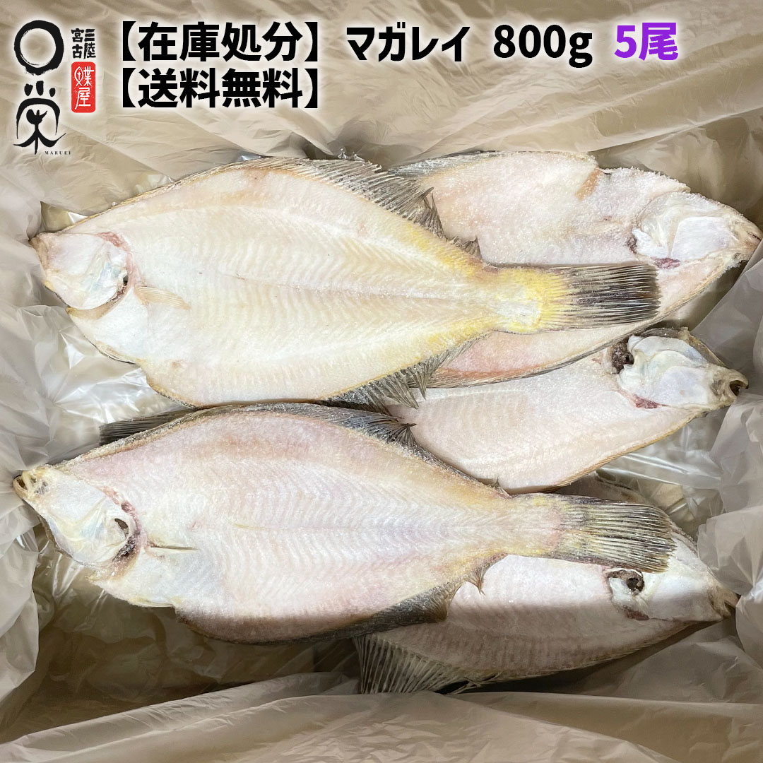 在庫処分 一夜干しマガレイ 5尾 約800g【送料無料】100g前後 北海道産 カレイ 魚 簡易包装 真鰈 懐かしい味 焼き魚 岩手 宮古 三陸 加工 メーカー 冷凍 内祝い 在庫処分 旬 惣菜 父の日 干物 カレイ一夜干し