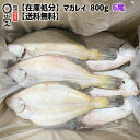  一夜干しマガレイ 6尾 約800g 北海道産 カレイ 魚 簡易包装 真鰈 懐かしい味 焼き魚 岩手 宮古 三陸 加工 メーカー 冷凍 内祝い 在庫処分 旬 惣菜 父の日 干物 カレイ一夜干し