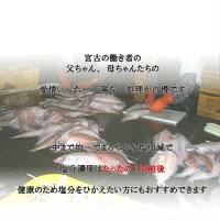 一夜干しみずかれい【送料無料】ムシカレイ三陸産1箱900g簡易包装干物おつまみ三陸宮古かれい専門店塩味まろやか品のいい味