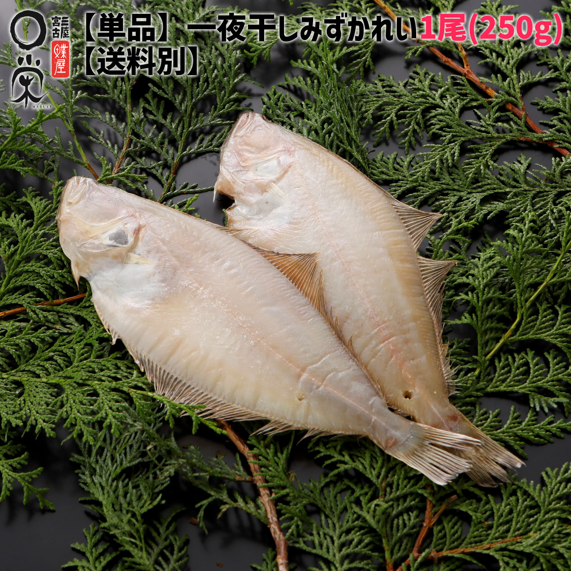 【単品】一夜干しみずかれい1尾250g【送料別】ムシガレイ 三陸産 かれい 焼き魚 おつまみ　岩手 加工 メーカー 塩味まろやか品のいい味 ミズカレイ 焼くだけ 冷凍 御礼 父の日 干物 ギフト かれいの一夜干し