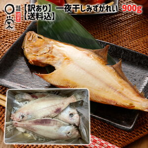 【まとめ買い対象】訳あり 一夜干し みずかれい 打ち身等 約900g 三陸産 【送料無料】簡易包装 訳アリおつまみ 和食カレイ 在庫限り 岩手 加工 メーカー 冷凍ワケあり 訳あり 食品ロス 惣菜 買いまわり かれいの一夜干し