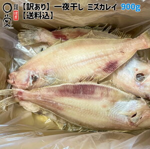 【まとめ買い対象】訳あり 一夜干し みずかれい 打ち身等 約900g 三陸産 【送料無料】簡易包装 訳アリおつまみ 和食カレイ 在庫限り 岩手 加工 メーカー 冷凍ワケあり 訳あり 食品ロス 惣菜 買いまわり かれいの一夜干し