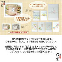 お中元2020ギフト対応【送料無料】選べるかれいのセレクト詰合せ3種セレクトとっておき珍味ヒレグロ2尾ソウハチ2尾ミズカレイ2尾セイダカレイ2切ナメタカレイ2尾数量限定干物詰合せカレイ三陸産北海道産