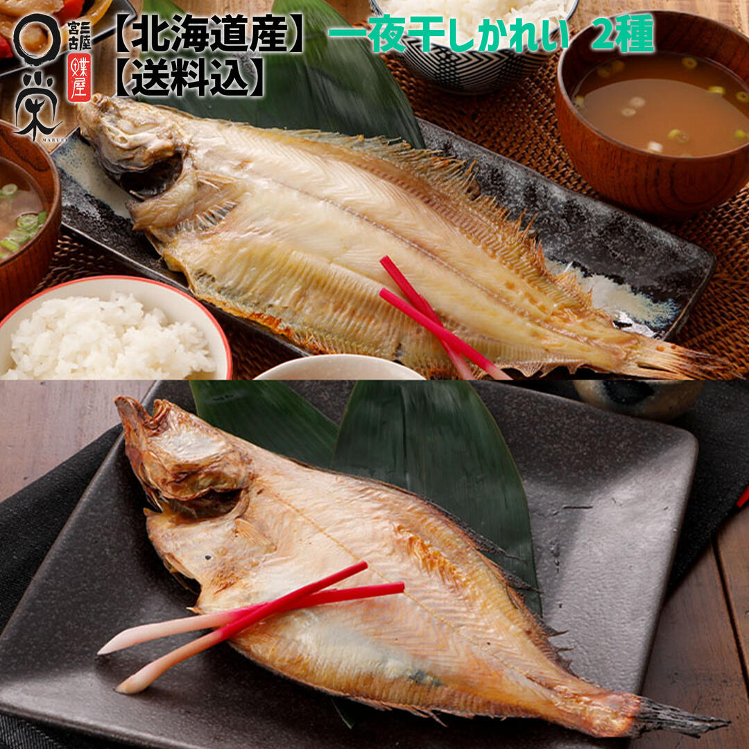 お試し 一夜干しかれい 2種4枚セット 600g 北海道産 4尾 個包装 カレイ ヒレグロ 宗八 ソウハチ 柳 山かれい 和食 朝食 岩手 宮古 三陸 加工 メーカー 冷凍 惣菜 干物 ギフト かれいの一夜干し 母の日 早割