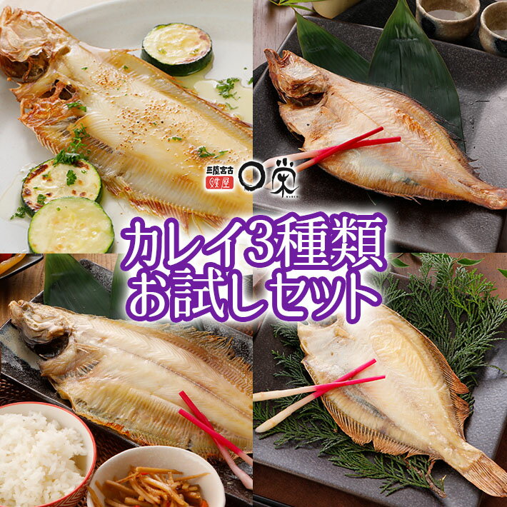 選べる3種 お試しセット 【送料無料】一夜干しかれい 国産 魚種をセレクト 個包装 ヒレグロ ソウハチ ミズガレイ サメガレイ ババガレイ ミギガレイ マガレイ 干物 ギフト 詰め合わせ 三陸産 北海道産 かれいの一夜干し 母の日 早割