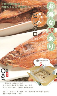 土曜日限定!訳アリ大特価【送料無料】チビ一夜干しかれいヒレグロ55g以下5kg入(約100〜120尾)北海道産干物おつまみカレイ三陸宮古かれい専門店