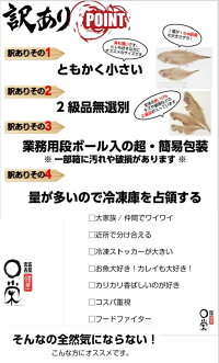 土曜日限定!訳アリ大特価【送料無料】チビ一夜干しかれいヒレグロ55g以下5kg入(約100〜120尾)北海道産干物おつまみカレイ三陸宮古かれい専門店