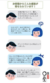 土曜日限定!訳アリ大特価【送料無料】チビ一夜干しかれいヒレグロ55g以下5kg入(約100〜120尾)北海道産干物おつまみカレイ三陸宮古かれい専門店