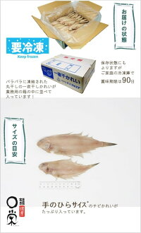 土曜日限定!訳アリ大特価【送料無料】チビ一夜干しかれいヒレグロ55g以下5kg入(約100〜120尾)北海道産干物おつまみカレイ三陸宮古かれい専門店