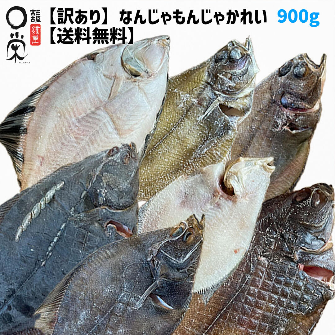 訳あり 一夜干し かれい なんじゃもんじゃかれい 900g 北海道産【送料無料】簡易包装 未利用魚 ランダム いろんな 魚 に 出会える アサバ スナ マコ ク...