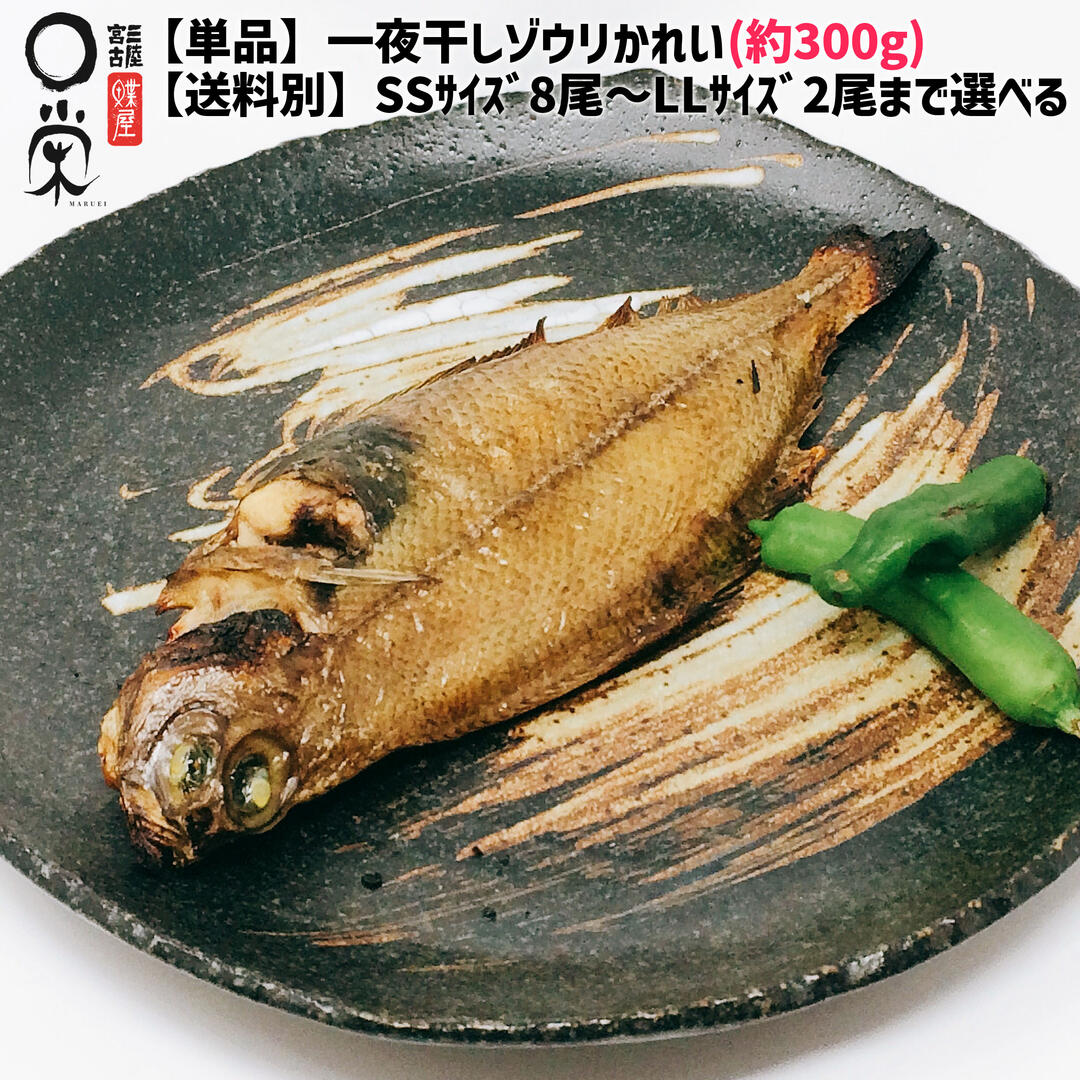 【単品】一夜干し ミギガレイ 300g ワンコイン【送料別】サイズ選べる 簡易包装 焼くだけ 焼き魚 白身 カレイ 岩手 宮古マルエイ 冷凍 在庫限り ミギカレイ 在庫処分 惣菜 父の日干物 ギフト かれいの一夜干し