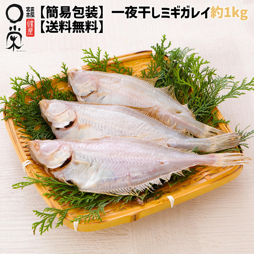 一夜干し かれい ミギガレイ 約1kg 岩手県産【送料無料】サイズ選べる(SS-L) 鰈 カレイ ゾウリカレイ ニクモチ 焼くだけ 焼き魚 白身 カレイ 岩手 ...