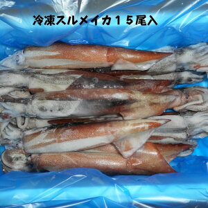 冷凍スルメイカ 鮮度抜群 美味しい冷凍のスルメイカの通販おすすめランキング ベストオイシー 冷凍スルメイカ 鮮度抜群 美味しい冷凍のスルメイカの通販おすすめランキング ベストオイシー