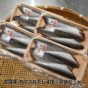 三陸産/カマス丸干し4尾×4袋セット 白身魚の高級魚「カマス」の丸干し、酒のお供にうってつけ！ 5