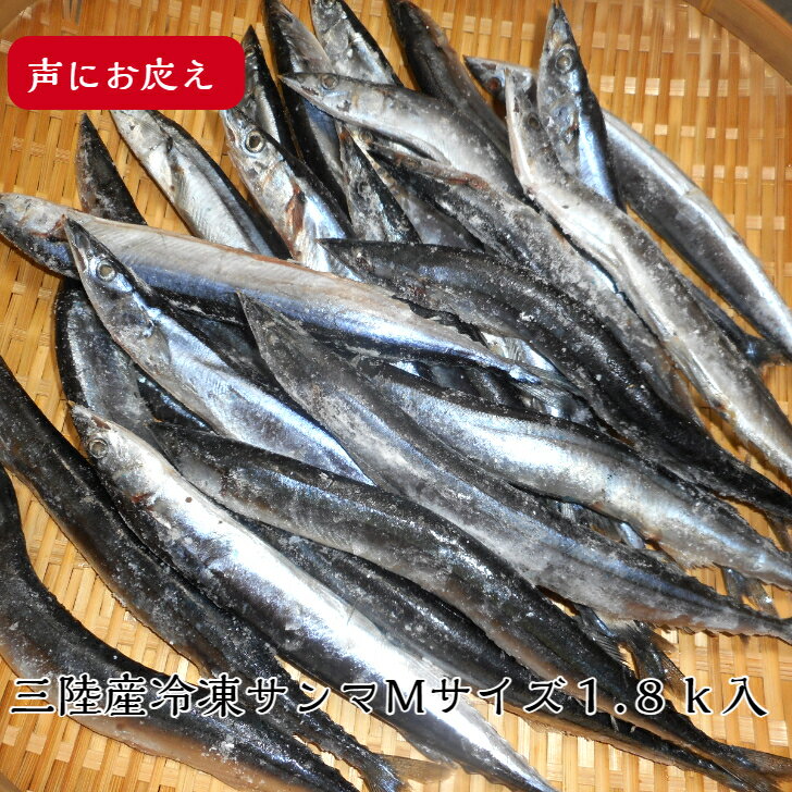 北海道 根室産秋刀魚 さんま水煮 （ブルー） マルユウ 95g×24缶サンマ かんづめ ギフト 詰め合わせ セット おつまみ 非常食 魚 防災 長期保存