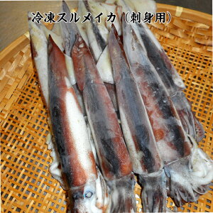 冷凍スルメイカ(刺身用)/バラ凍結/三陸産/1杯から購入できます/必要な分だけ