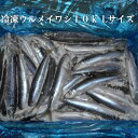 冷凍ウルメイワシ10k Lサイズ