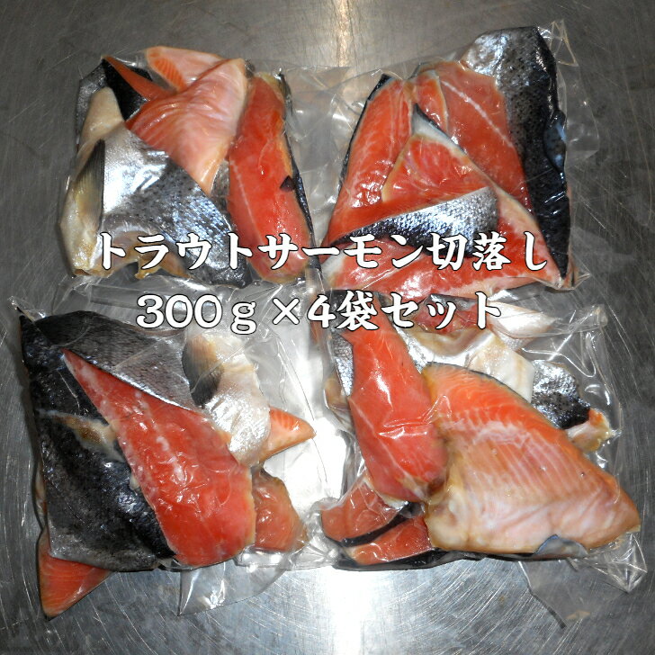 【訳あり】トラウトサーモン切り落とし（カマ・尾）300g×4袋セット/お試し価格！のサムネイル