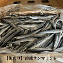 冷凍サンマ無選別15k/訳あり/送料無料/2024年度産