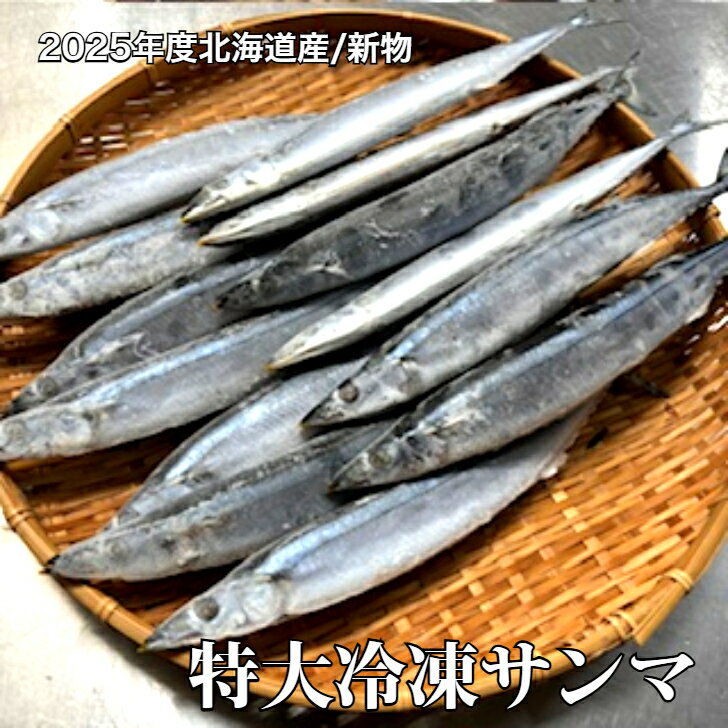 特大冷凍サンマ 2025年産 新物入荷