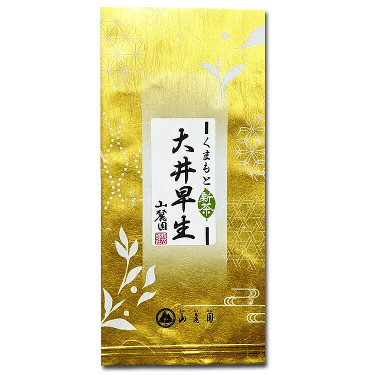 2024年 新茶 熊本産 玉緑茶 おおいわせ ( 大井早生 ) 緑茶 茶葉 ぐり茶 100g