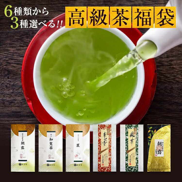 【ポイント5倍】 2024年 新茶 母の日 ギフト プレゼント お茶 ギフト 茶通も唸る！選べる高級茶福袋 100g×3個 300g 送料無料 特上 あさつゆ さえみどり 知覧茶 【 新茶 茶 内祝 お供え 香典返し 3000円代 5000円 極上 緑茶 茶葉 ぐり茶 お茶の葉 お茶っぱ お茶っ葉 】