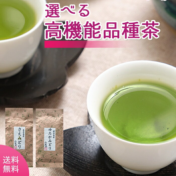 お茶 100g 2袋 高機能品種茶2個セット ゆたかみどり さえみどり 送料無料 プレゼント お中元 ギフト 2023 エピガロカテキン ケルセチン【お茶の葉 煎茶 緑茶 お茶葉 深蒸し茶 茶葉 日本茶 鹿児島茶 お彼岸】