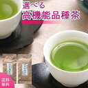 お茶 100g×2袋 高機能品種茶2個セット ゆたかみどり さえみどり 送料無料 プレゼント お中元 ギフト 2023 エピガロカテキン ケルセチン..