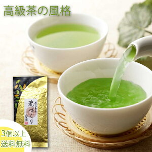 【ポイント5倍】お茶 鹿児島茶 荒づくり さえみどり 100g 【2022年産】水出しOK メール便 3個以上で送料無料 プレゼント 2023 ギフト【知覧茶 新茶 水出し 煎茶 緑茶 深蒸し茶 日本茶 茶葉 冷茶 お茶の葉 】仏事 法事 香典返し カテキン 美味しいお茶